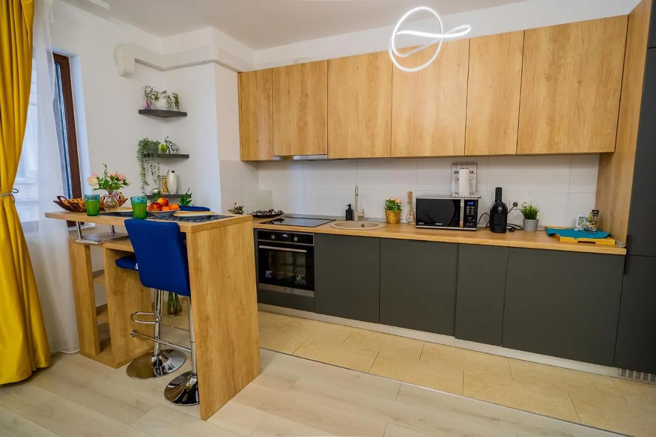 Apartment Queen Elizabeth - Ultracentral - Free Parking & Ac Bucharest Romania